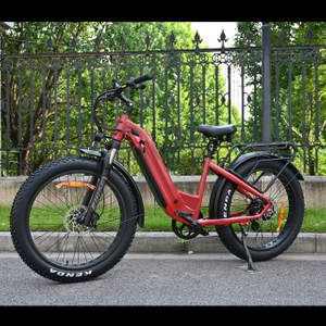 Fat Tire Electric Bike 26 -дюймовый двойной аккумуля