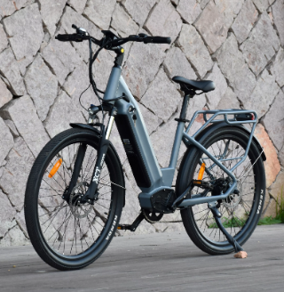 mountain e-bike.png