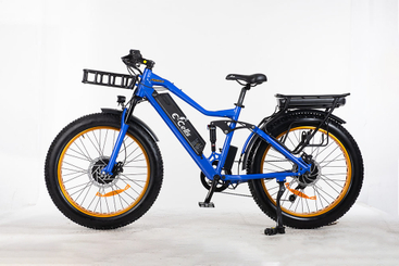 E-CELLS SUPER MONARCH AWD 700 1000 ВАТТ