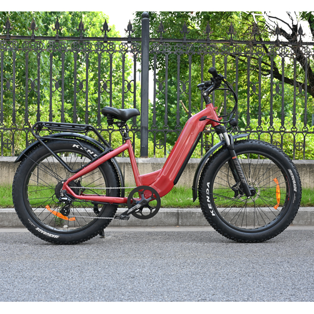 Fat Tire Electric Bike 26 -дюймовый двойной аккумуля