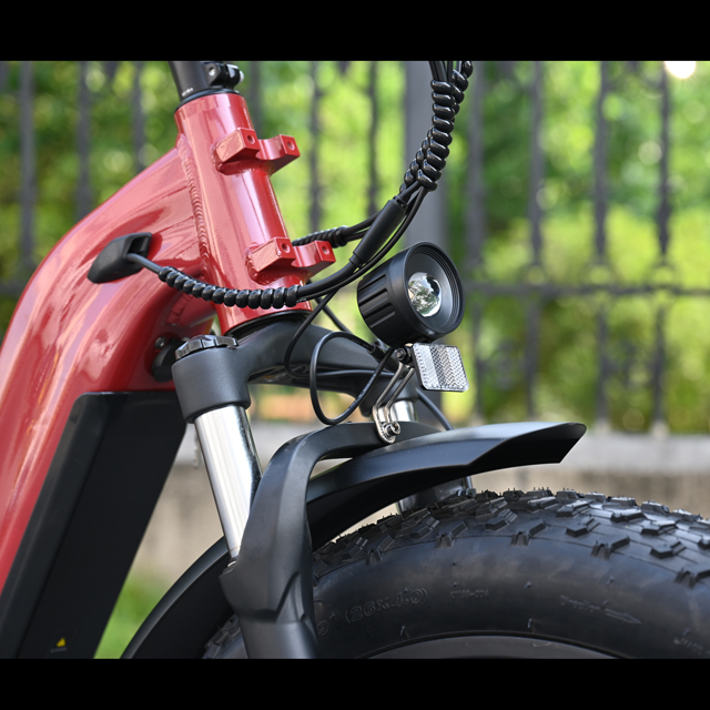 Fat Tire Electric Bike 26 -дюймовый двойной аккумуля