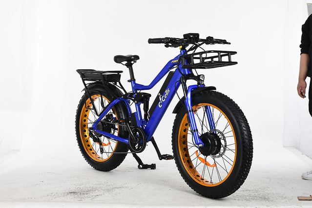 E-CELLS SUPER MONARCH AWD 700 1000 ВАТТ