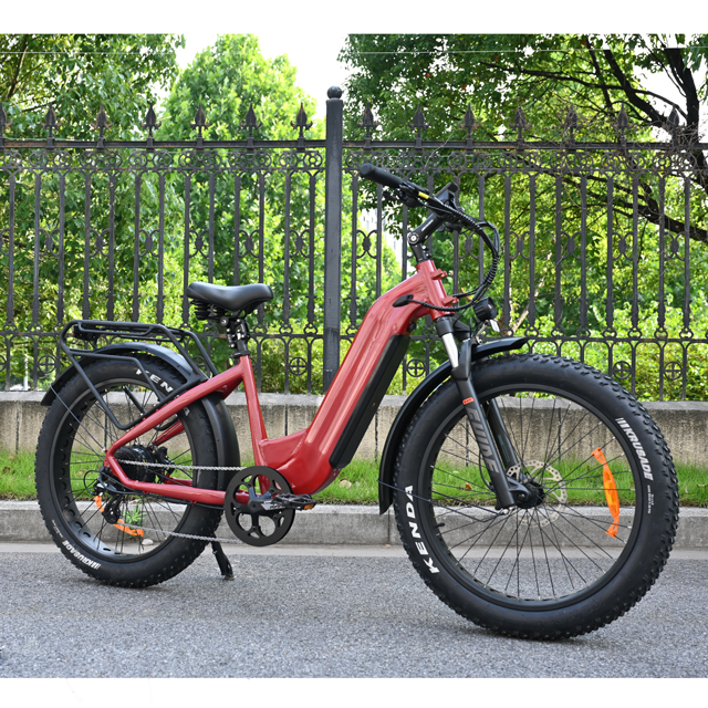 Fat Tire Electric Bike 26 -дюймовый двойной аккумуля
